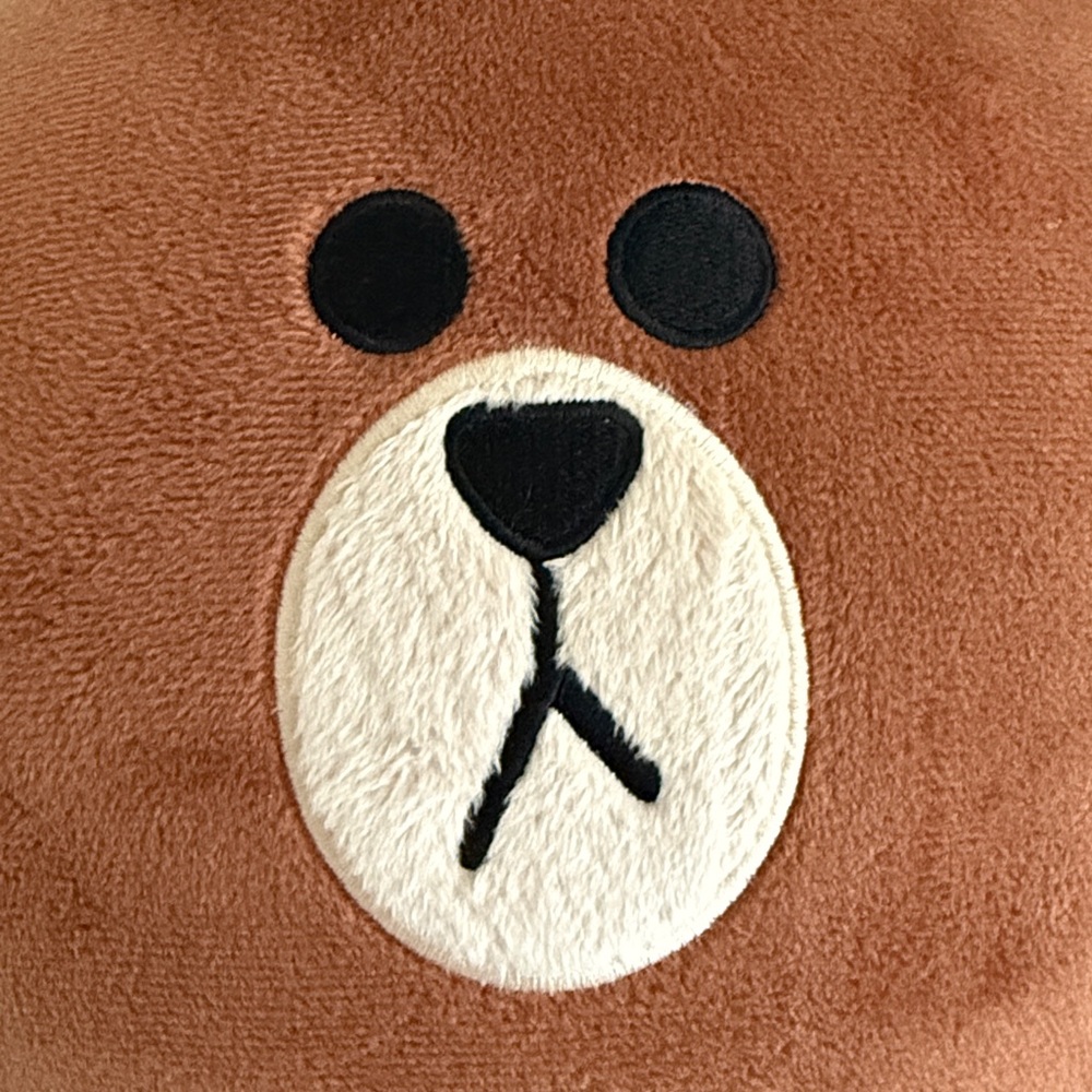 LINE Friends Brown Bear Kid Backpack - Picture 4 of 16